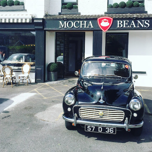 Mocha Beans Newcastle