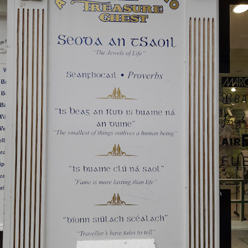 The Cellar - Hospitality and gastronomy