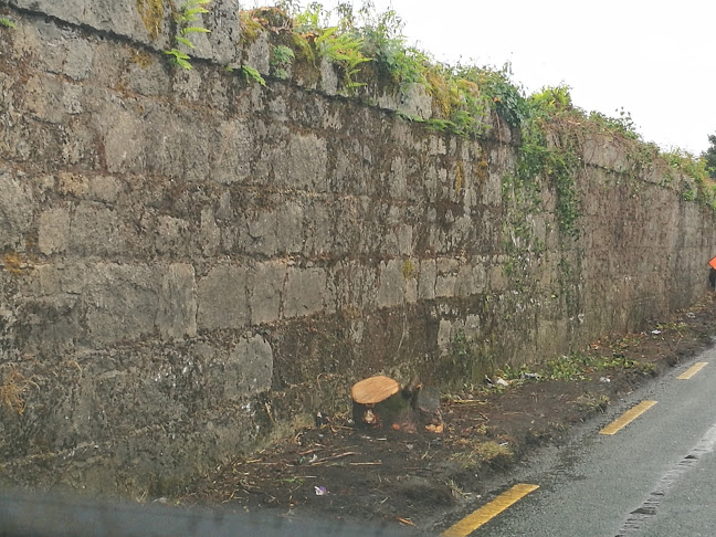 Crottys BAKERY - Hospitality and gastronomy