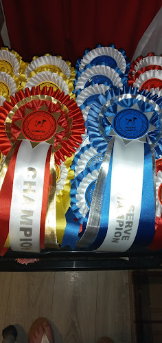 Market St, Granard, Co. Longford, N39 HN26