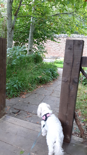 Comentarii opinii despre Portumna Castle Tea Room - CaToCa Fine Food