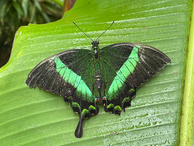 Thyme Out Cafe/Tea Rooms - Letterkenny