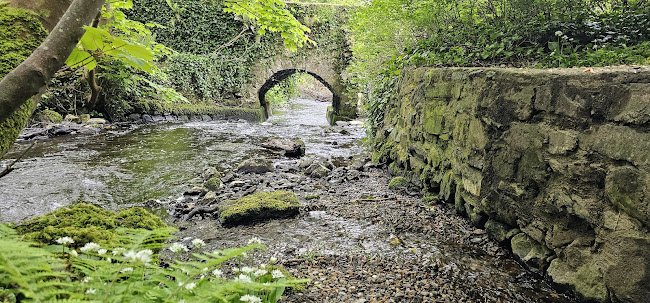 Opinii despre Abbey Mill Wheel Coffee Shop în Letterkenny - Hospitality and gastronomy