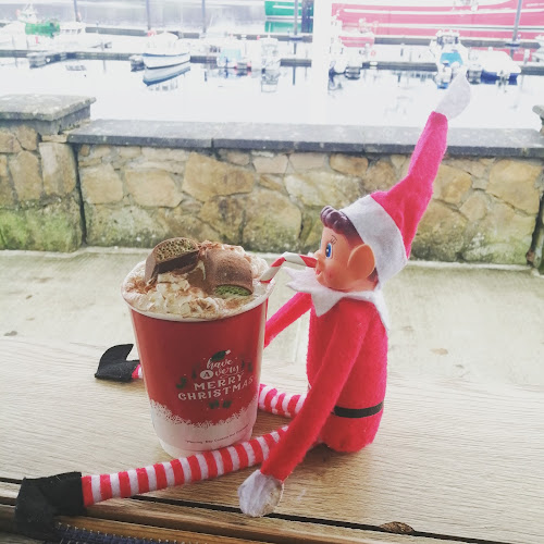 Comentarii opinii despre An Capall Mara