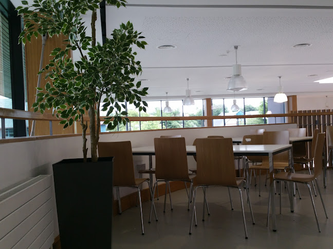 Phoenix Restaurant - Hospitality and gastronomy