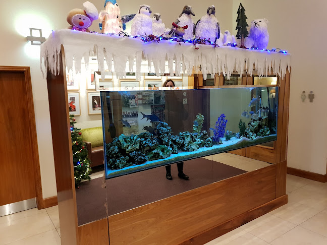 Drumcliff North, Drumcliffe North, Co. Sligo