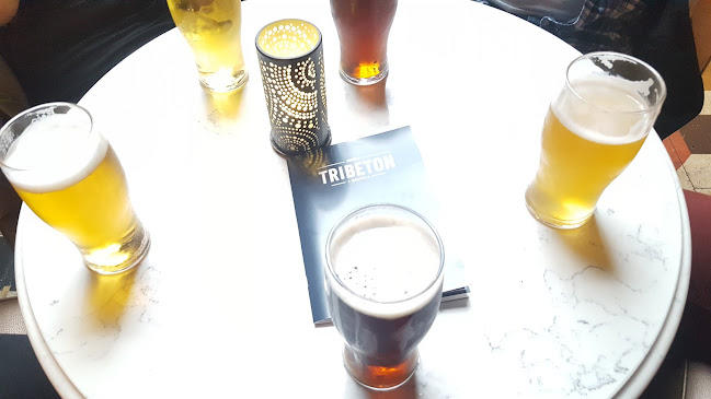 Comentarii opinii despre Tribeton