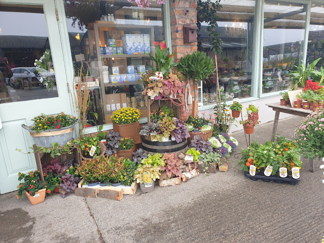 Strandfield - Dundalk