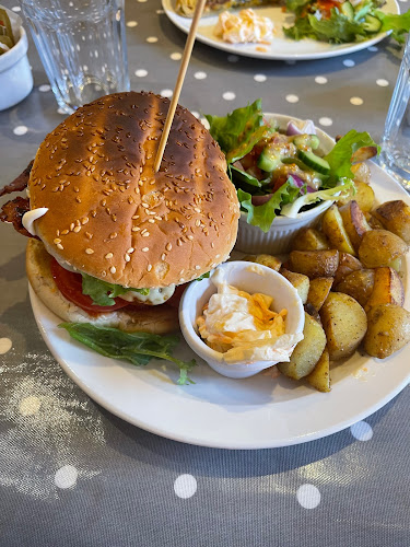 Christy's Harvest - Hospitality and gastronomy