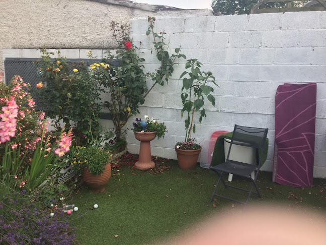 The Palm Tree - Hospitality and gastronomy