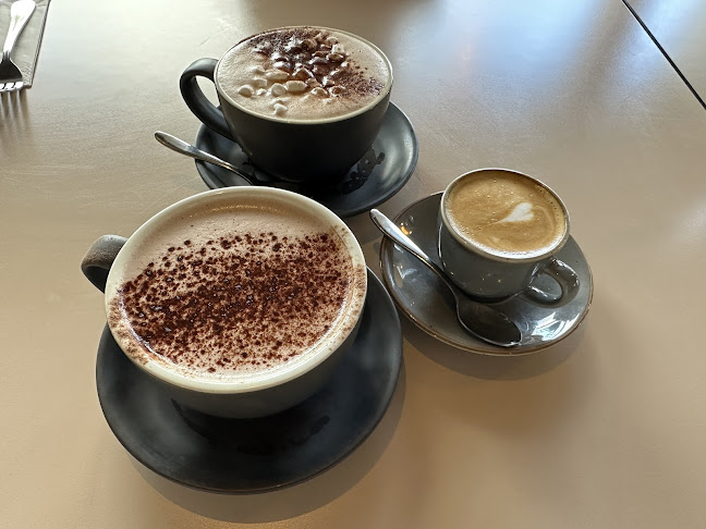 The Bookshelf Tralee