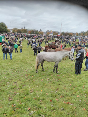 7 Dunlo St, Townparks, Ballinasloe, Co. Galway, H53 YH56