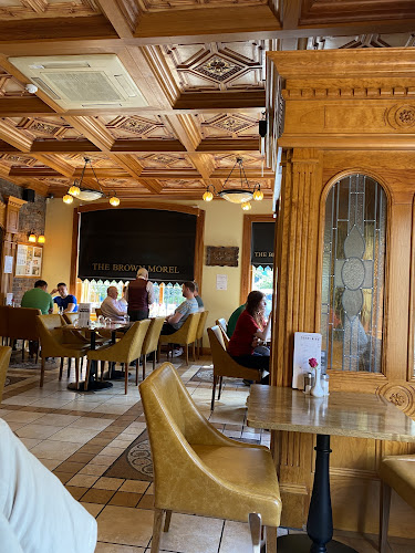 The Brown Morel - Newcastle West