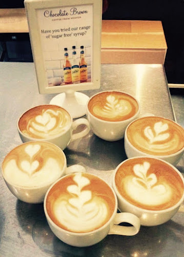 Comentarii opinii despre Chocolate Brown