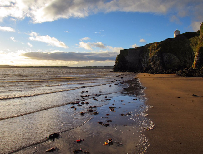 Comentarii opinii despre Roches Bar & Restaurant