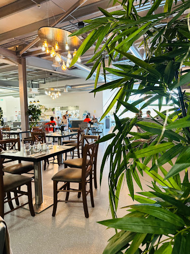 Comentarii opinii despre Blueberry Hill