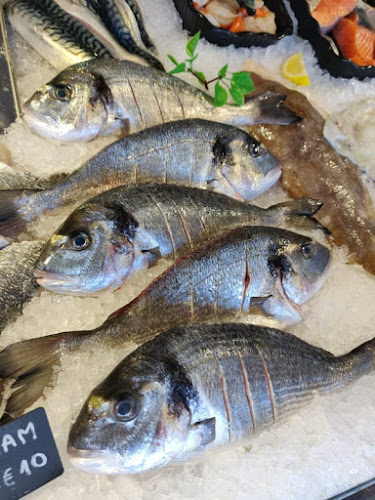 Opinii despre The Happy Lobster în Co. Galway - Hospitality and gastronomy