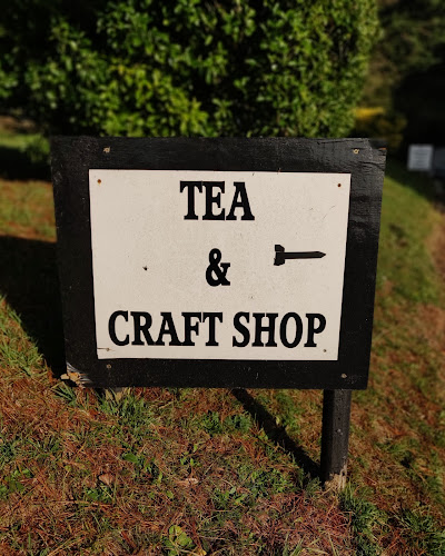 Oasis Tea Room - Hospitality and gastronomy