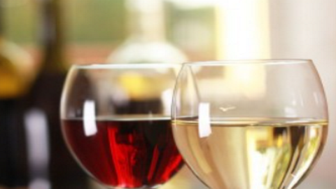 Michelangelo Restaurant - Hospitality and gastronomy