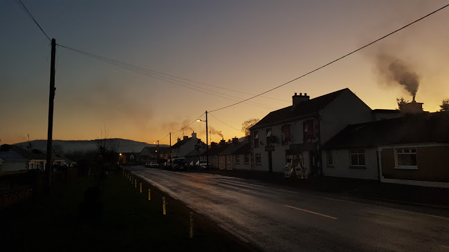 319-321, 319-321 Carrick Rd Lower, Coolroe, Portlaw, Co. Waterford, X91 FY91