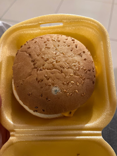 Fresh Bites Bandon - Hospitality and gastronomy