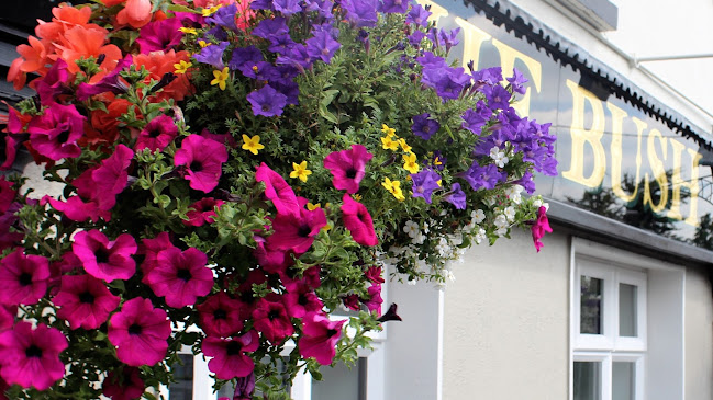 Curragh, Cut Bush, Co. Kildare, R56 Y522