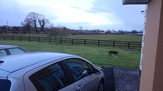 Comentarii opinii despre The Honk Bar