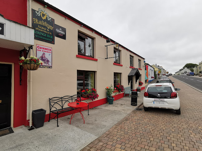 Harp and Shamrock Bar - Hospitality and gastronomy