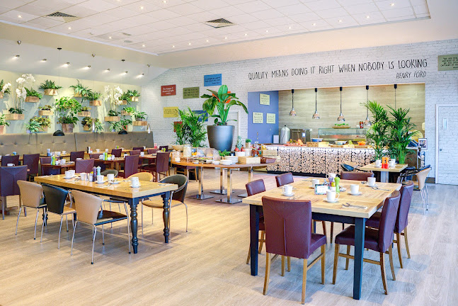 Olivo Bar & Restaurant Cork - Hospitality and gastronomy