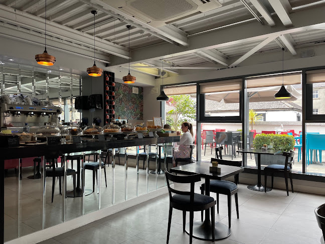 The Black Cat Cafe Kilkenny - Kilkenny