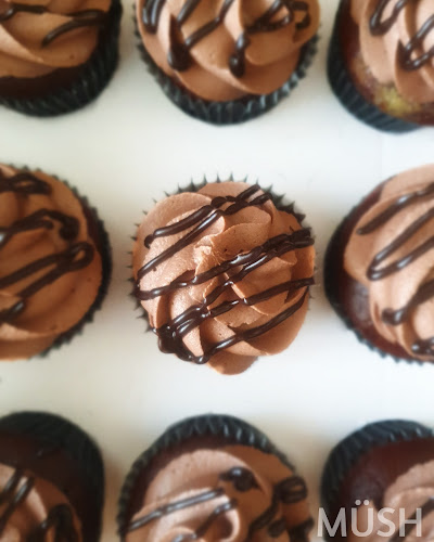 Comentarii opinii despre Mush