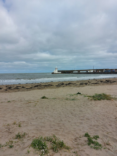 Comentarii opinii despre Pappagallino's Ice Cream