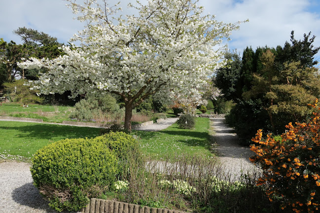 Oasis Tea Room - Cobh