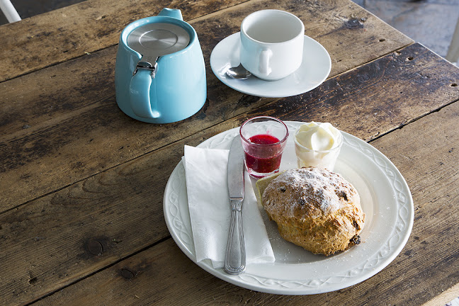 Cafe Acqua - Hospitality and gastronomy