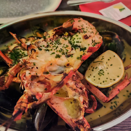 Comentarii opinii despre Lobstar