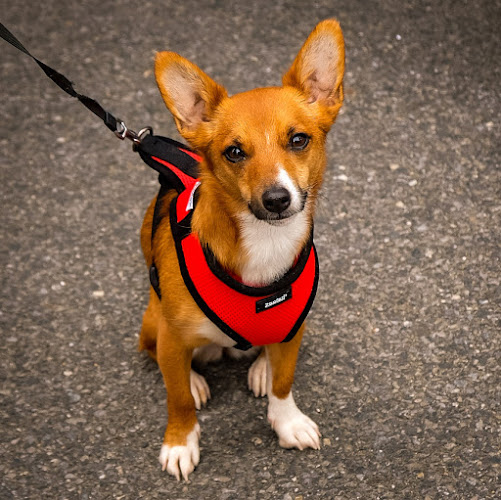 Unit 1, Riverstown Business Park, Tramore, Co. Waterford, X91 A6NT