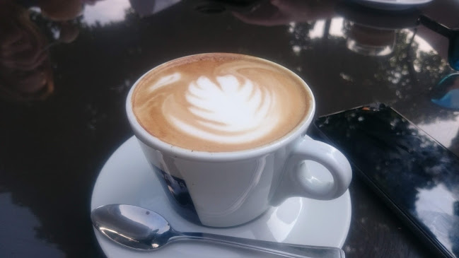 Ahoy Cafe - Hospitality and gastronomy