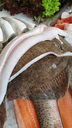 Comentarii opinii despre Fine Fins