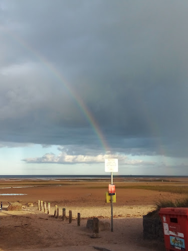 Comentarii opinii despre Coast Tavern