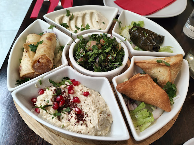 Mejana Lebanese Restaurant - Hospitality and gastronomy