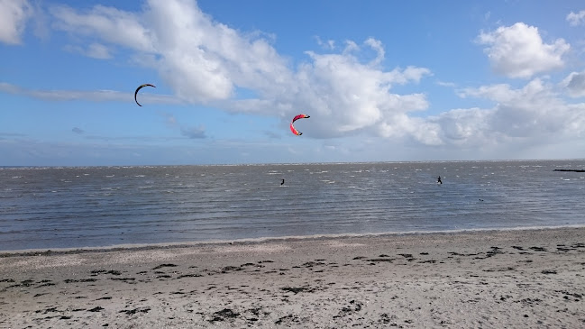 Cafe Acqua - Hospitality and gastronomy