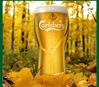 Opinii despre The Village Inn în Fohenagh - Hospitality and gastronomy