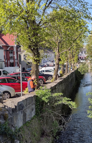 Lucan Demesne, Lucan, Co. Dublin