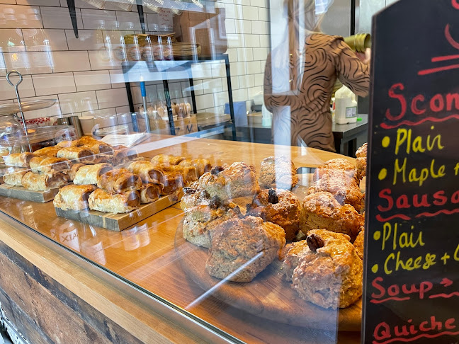 Comentarii opinii despre Batch Donegal