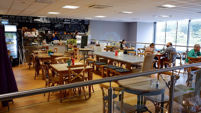 Red Bird Cafe - Hospitality and gastronomy