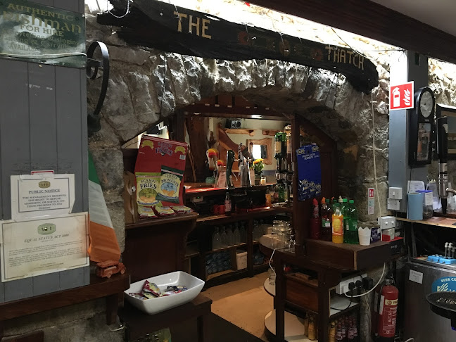 Opinii despre The Thatch Pub în Killenard - Hospitality and gastronomy