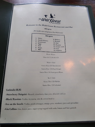 Opinii despre The Wild Goose în Mallow - Hospitality and gastronomy