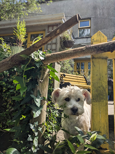 The Salmon Pool Bar - Hospitality and gastronomy