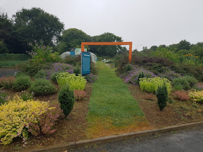 Comentarii opinii despre GROW HQ