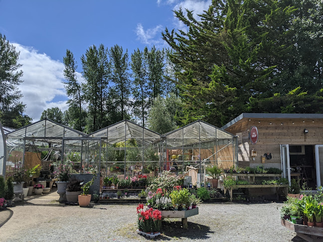 Comentarii opinii despre Woodfield Cafe and Garden Centre